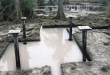 foundation-on-marshy-ground