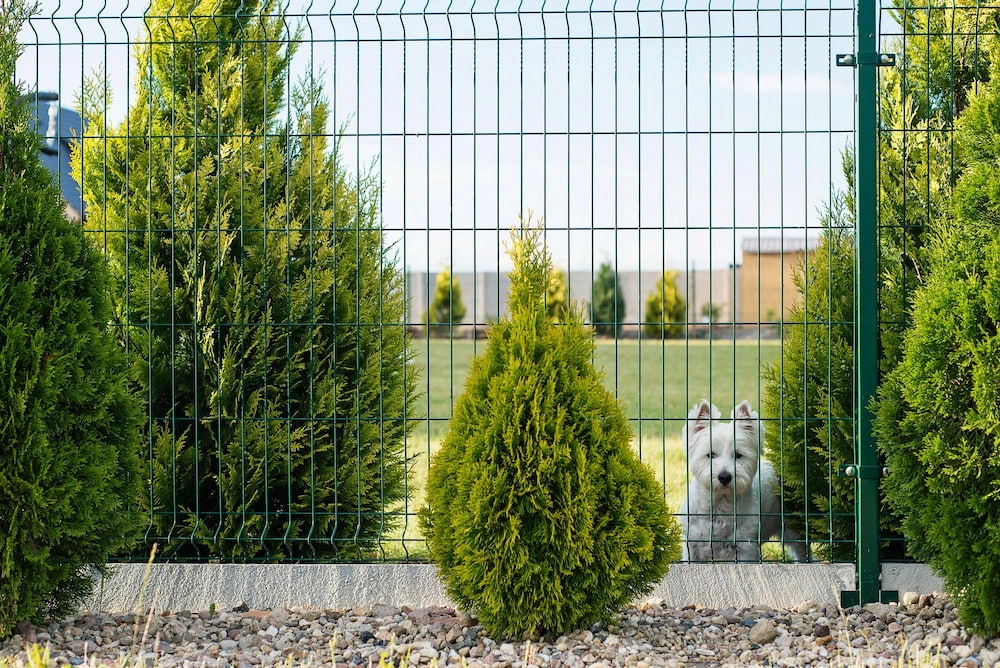 installation-of-a-fence-for-a-private-house-3