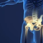 pelvic rotation and tilting