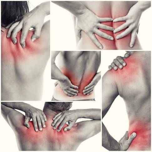 Daily muscle pain is a common yet often overlooked issue that can significantly impact one's quality of life.