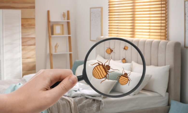 Bed bug Cleaning Staten Island