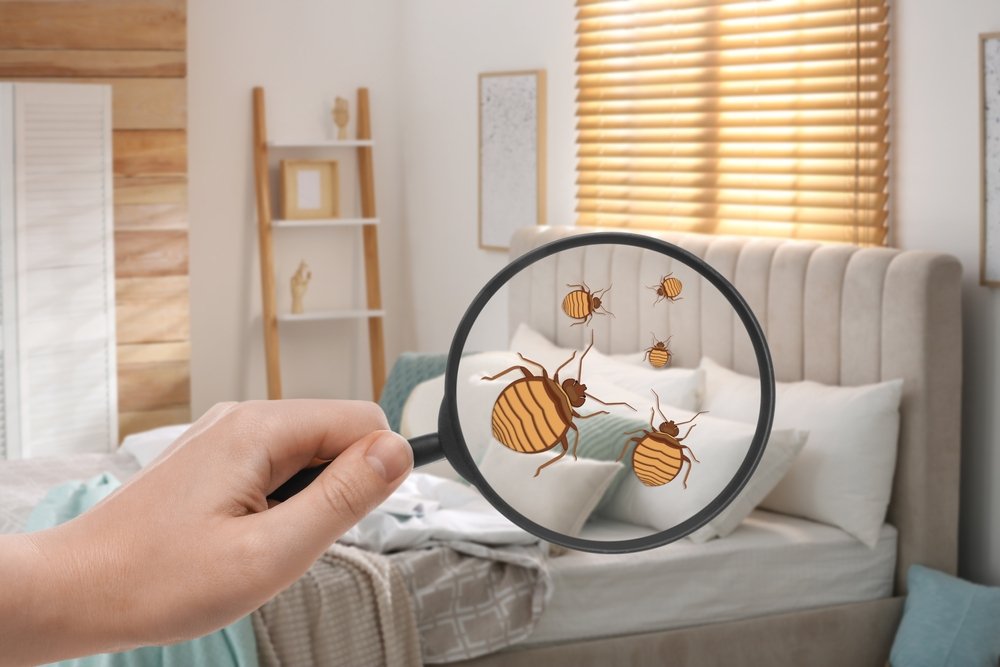 Bed bug Cleaning Staten Island