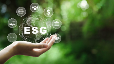 ESG program2 What Makes a Strong ESG Program? Key Components & Best Practices