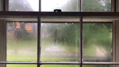 Tampa window replacemen Energy Savings & Storm Protection with Tampa Window Upgrades